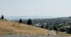 Wildfire smoke, heat pose growing risks for pets, Montana veterinarians warn