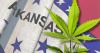 Arkansas attorney general leads bipartisan effort to keep hemp restrictions