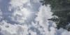 Texas A&M AgriLife shares details on heat exhaustion and heatstroke