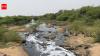 SC for 20-point plan to tame Jojari, Bandi, Luni pollution