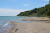 Check Out These 11 Dog Friendly Beaches Close to Milwaukee