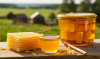Moldova is seeking permission to export honey to China