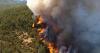 How France's Devastating Wildfires Revealed a Hidden WWII Ammunition Cache