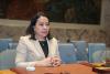 Rodrigues-Birkett highlights need to bridge global divide in session with Latin American states