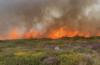 Wildfire at Glencullen in Dublin Mountains has reduced 'considerably'