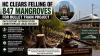Bombay HC Clears Felling Of 847 Mangroves For Mumbai-Ahmedabad Bullet Train Project, Says Distant Afforestation Cannot Replace Local Ecology