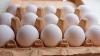 Nearly 5 million eggs are headed to New York food banks. Here's why