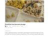 Fort Carson soldiers served inadequate meals at the National Training Center in California