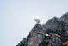 My Wife and I Made Every Mistake Possible on Our First Mountain Goat Hunt