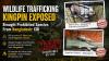 CBI Alleges Wildlife Trafficking Kingpin Sourced Protected Species From Bangladesh For Illegal Trade
