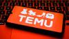 Urgent recall issued for children’s toy sold on Temu that poses 'choking risk'