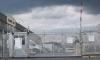 El Salvador Citizen Dies in US Immigration Custody