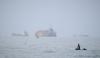 Strait talk: U.S. and regional partners see progress toward reopening Hormuz chokepoint