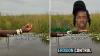 Environmental scientist explains how ornamental plants invaded Florida's Everglades