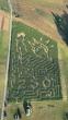 Corn maze prep work begins at Sinkland Farms