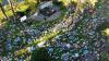 Munch & Music Expands Sustainability Program