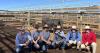 Why a $28,000 heifer was the top buy at the National Wagyu sale at Roma