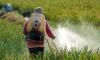 Pesticide warning as major study finds link to deadly ALS - exposure raises risk by up to 70%