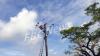 Planned power outage rescheduled for tomorrow