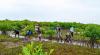 Africans bear the brunt of biodiversity loss