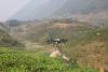 New growth drivers offer Việt Nam’s agriculture chance to accelerate