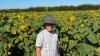 Sunflowers unlock tourism potential on family farm
