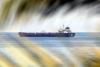 13 Indian sailors rescued after India-flagged cargo vessel sinks in Red Sea attack