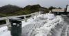 'Couple of degrees colder': Severe frosts to grip New Zealand tonight
