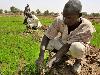 Climate Change Is Not Christian Persecution, So Why Does It Matter? 