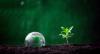 TIM Climate Transition Plan Targets Lower Emissions Through 5G and AI Growth