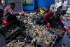 AI Early Warning System Buys Korean Fish Farms 38 Hours Before Lethal Heatwaves Strike