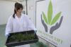 Cannabis Is Marketed as Stress Relief, and a New Cortisol Study Adds to a Thin Evidence Base