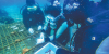 Marine tourism boom fires up summer travel