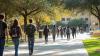 Part-time uni students need more support, ACSES research reveals