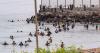 Investigation Exposes How Viral Rumors Triggered Spain’s Ceuta Border Crisis