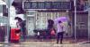 Local sentiment remained positive as visitor traffic and insurance opportunities strengthened.