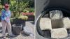 North Carolina gardener's self-watering planter trick sets up a stunning fall display