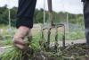 Migrant Workers Wore Diapers, Paid $20 for 12-Hour Days on Australian Farms