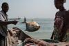 Sierra Leonean Fishermen Cry Foul Over Illegal Fishing