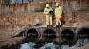 Judge rules Georgia families can pursue claims against chemical giants' PFAS cleanup, higher water rates