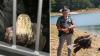 Kentucky trooper rescued an injured bald eagle, then watched it return to the wild