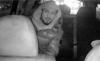 Knife-wielding robber who preyed on NYC taxi drivers, stabbing 1, gets 5 years