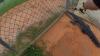 Florida deputies remove alligator from high school bullpen as football practice goes on