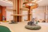 Sono Opens Stray Cat Adoption Space in Seoul's Magok