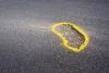 Pothole repairs can't be rushed, says engineering academic