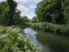 Severn Trent to pay £2.2m to charities following sewage pollution investigations