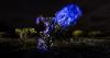 Glowing Fishing Net Caught in a Mangrove Tree Wins the 2026 Mangrove Photography Awards