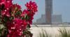 Wynn sets new opening date for UAE resort and raises costs by $600 million