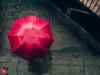 Love monsoon travel? Here are 7 countries best explored in the rainy season