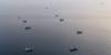 Scientists warn the closure of the Strait of Hormuz could trigger a marine super-spreader event